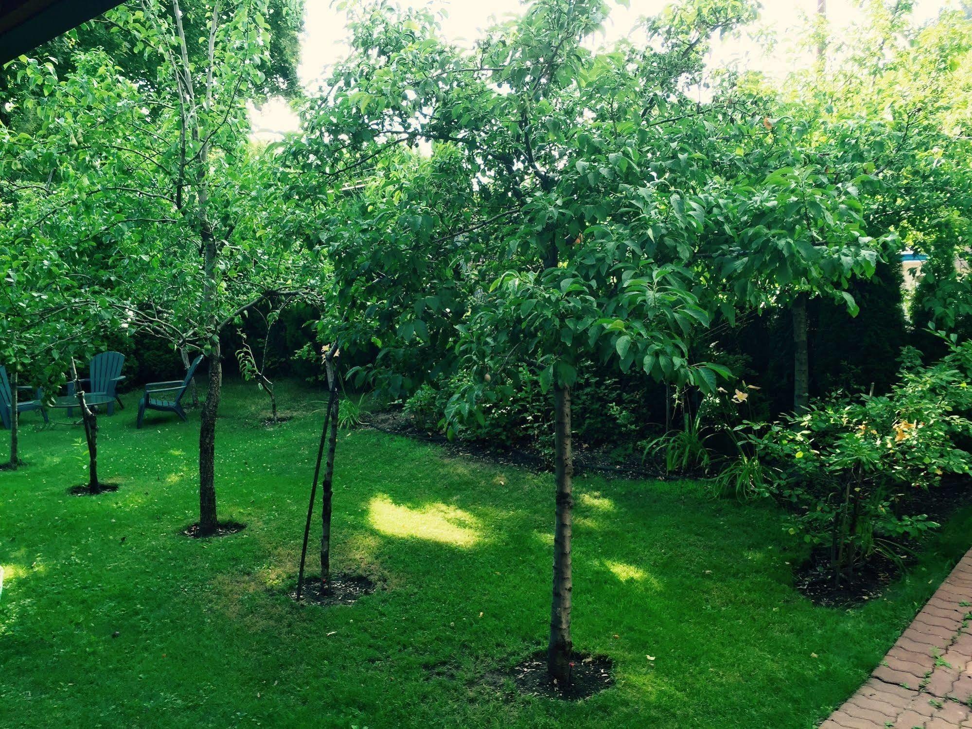 Luna Bed & Breakfast Grand Forks Bagian luar foto